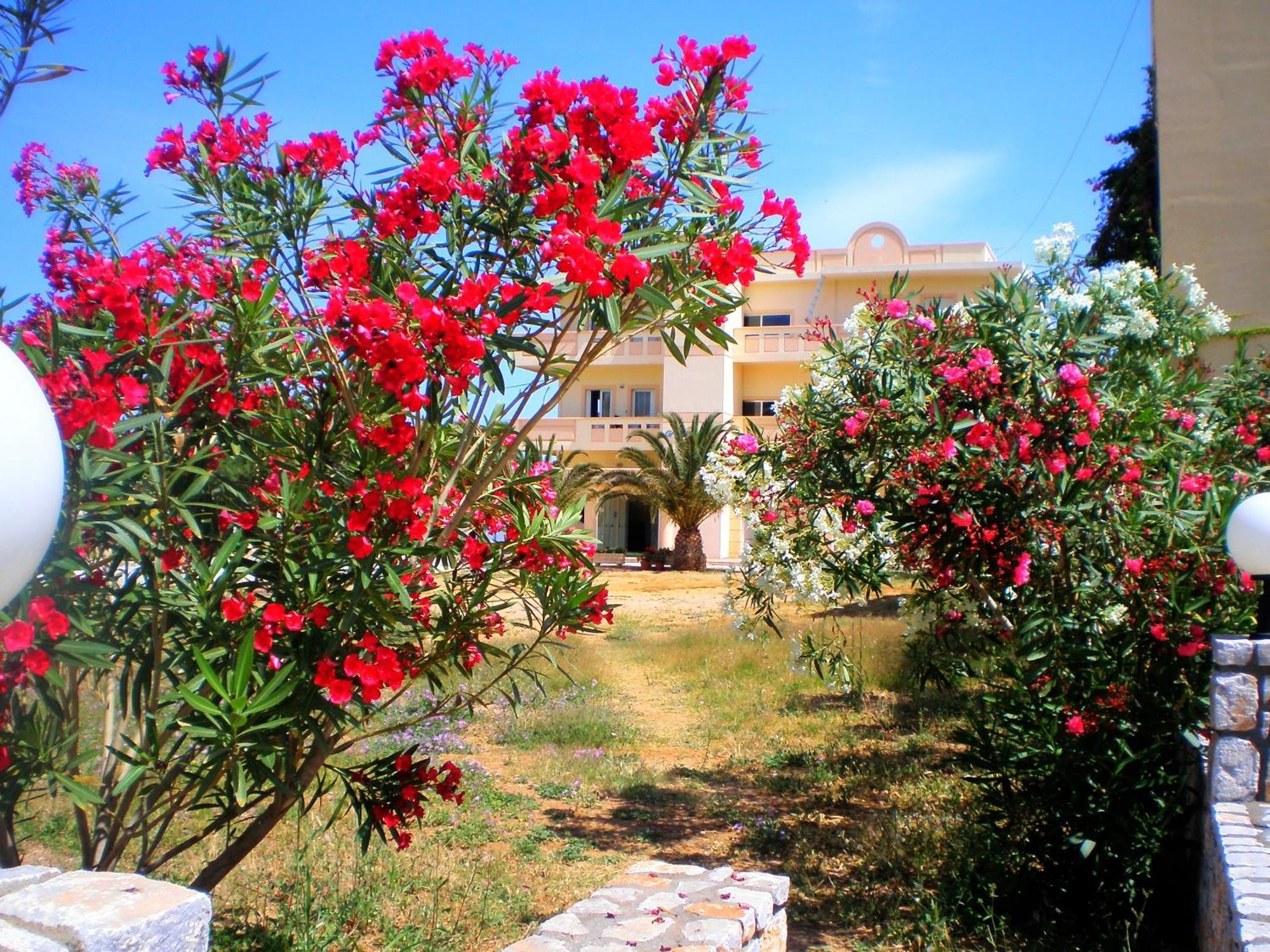 Galini Beach Hotel Kíssamos Eksteriør bilde